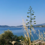Παληό Τσιφλίκι Καβάλα