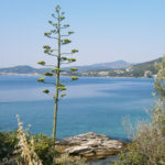 Palio Tsifliki Kavala