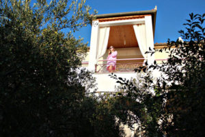 Κήπος με ελαιόδεντρα