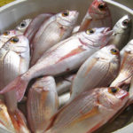 Fresh fish