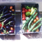 Organic vegetables