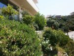 The garden of Feel the Sea Villa
