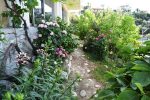 Blooming flowers in tiered garden