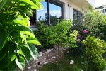 Blooming flowers in tiered garden