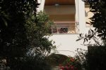 Garden with olive trees around Villa Relax