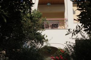 Κήπος με ελαιόδεντρα γύρω από την Βίλα Relax