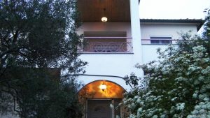 Κήπος με ελαιόδεντρα γύρω από την Βίλα Relax